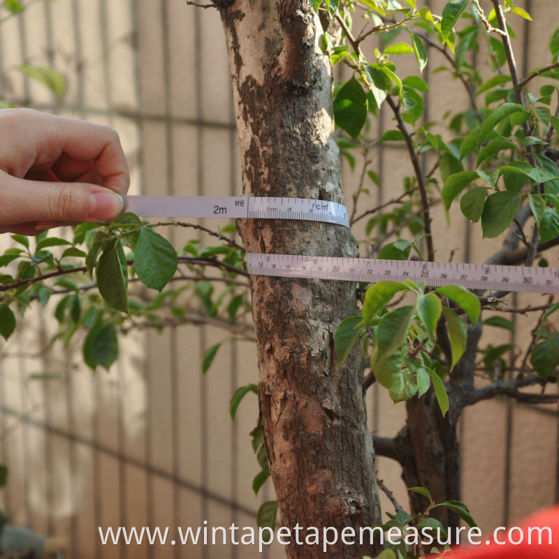 2M tree diameter measuring the radius pipe OD construction steel measuring tape with Your Logo